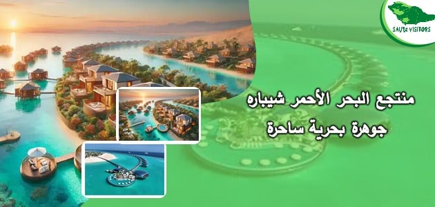 منتجع البحر الأحمر