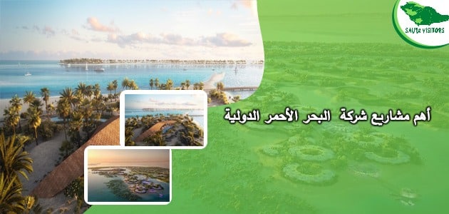 شركة البحر الأحمر الدولية